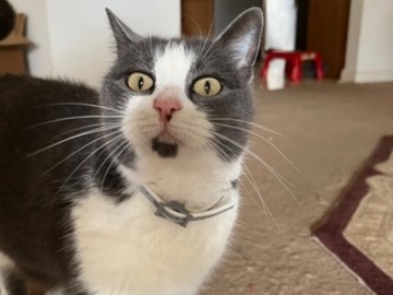  : Sabrina