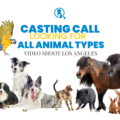 Casting call: All Animals needed in Los Angeles