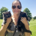 Animal Talent Listing: Adoptable Cats