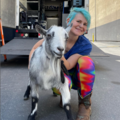 Certified Animal Wrangler: Goat Wrangler + Goats For TV/Film - Los Angeles