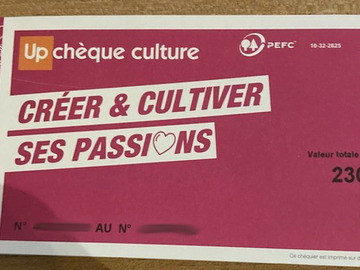 Vente: Chèques Culture Up (230€)