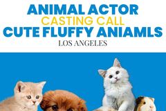 Casting call: Cute fluffy animals for shoot ! Quick turn around