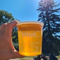 Les miels : Miel de fleur 