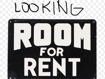 Looking for a room: LOOKING FOR SOLO ROOM