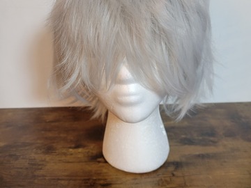Selling with online payment: Silver Wig 