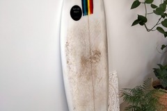 For Rent: 5'3 Performance Twin Fin