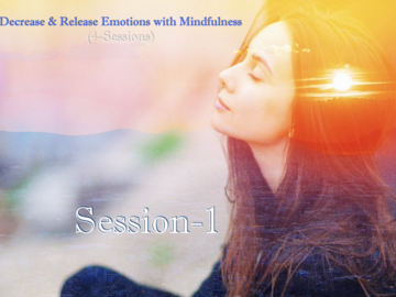 Speakers (Per Event Pricing): Supporting Your Emotions Using Mindfulness & the Senses