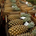 Vender: Foire internationale fruits Logistica 2023