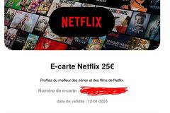 Vente: E-carte Netflix (25€)