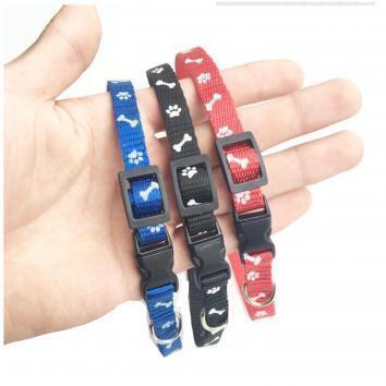 144 New Pet Collars, Toys for Dogs & Cats - MSRP $2,200