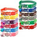 Buy Now: 144 New Pet Collars, Toys for Dogs & Cats - MSRP $2,200