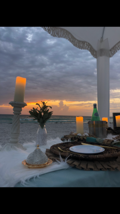Coastal Prestige Dream Picnics in St. Petersburg