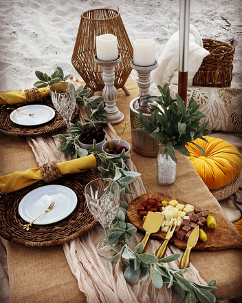 Coastal Prestige Dream Picnics in St. Petersburg