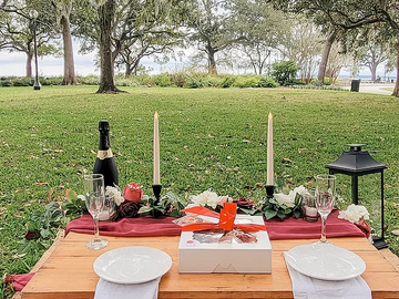 Offering with online payment: Perfectly Paired Sweetheart Luxury Picnic in Jacksonville