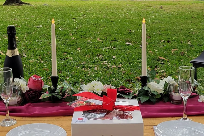 Perfectly Paired Sweetheart Luxury Picnic in Jacksonville