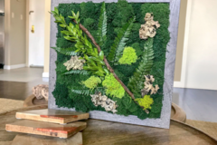 Events priced per-person: Moss Wall Art Workshop