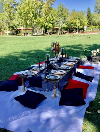 Bay Area Luxury Picnics in Walnut Creek