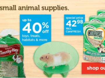 Animal Talent Listing: Hollywood Paws Studio Animal Guinea Pigs