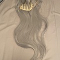 Selling with online payment: Long silver wig!