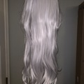 Selling with online payment: White Long Wig