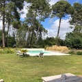 NOS JARDINS A LOUER: grand jardin avec piscine vue pins maritimes