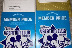 Selling with online payment: DVC Vehicle Magnets 