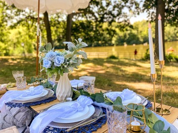 Offering without online payment (No Fees): Luxury Picnic In NYC