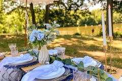 Offering without online payment (No Fees): Luxury Picnic In NYC
