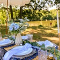 Offering without online payment (No Fees): Luxury Picnic In NYC