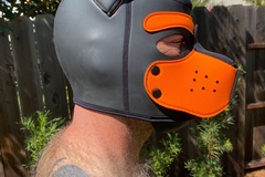 Venta: Mr. S. Neoprene Puppy Hood - Orange - Medium