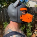 Selling: Mr. S. Neoprene Puppy Hood - Orange - Medium