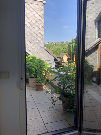 Bieten 4 Zimmer Wohnung, suchen Haus in Alfter oder Eifel