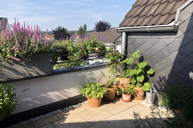Bieten 4 Zimmer Wohnung, suchen Haus in Alfter oder Eifel