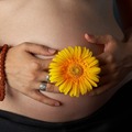 Wellness Session Single: Pregnancy Emotional Wellness & Prebirth Bonding- Dr. Jill Chasse