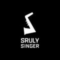 Accept Deposits Online: Sruly Singer 
