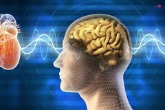 Wellness Session Single: HeartMath- More Resilience and Less Anxiety-  with Dr Jill Chasse