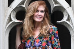 Wellness Session Single: Spring Health Transformation Individual coaching with Fay