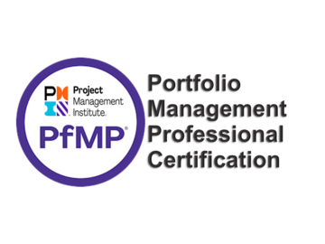 Training Course: Project Portfolio Management (5 days or more)