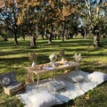 Offering without online payment (No Fees): Miami luxury picnics