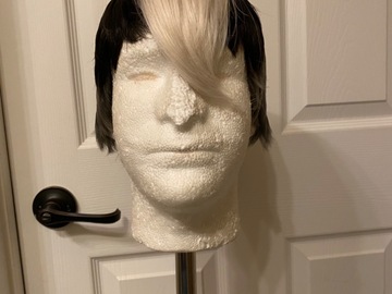 Selling with online payment: Takashi Shirogane Five Wits Wig