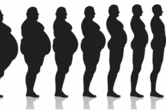 Wellness Session Packages: 8 week weight loss course / journey with Andy