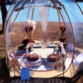 Offering without online payment (No Fees): Peace Love & Tent Luxury Picnics 