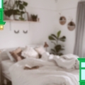 Rooms for rent: Room available in sharing flat in mellieha