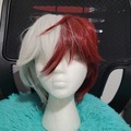 Selling with online payment: My Hero Academia Todoroki wig