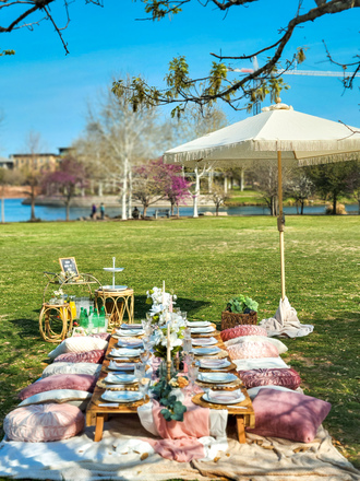 Luxury Picnics in Austin
