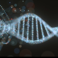 Selling: DNA ACTIVATION and Channelled Insight, 2023