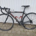 verkaufen: Carbon Rennrad