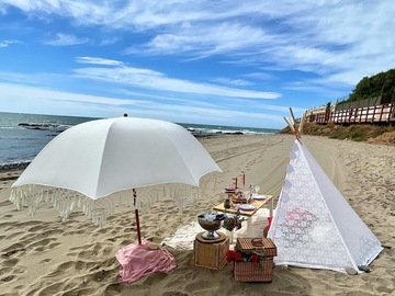 Offering without online payment (No Fees): Picnic costa del sol 