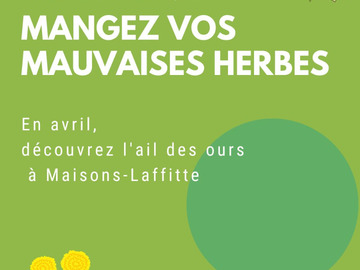 Offering: Balade botanique dimanche 2 avril ou lundi 3/4 à Maisons Laffitte