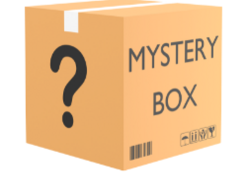 Buy Now: No Rinky Dink Items Mystery Box Lot